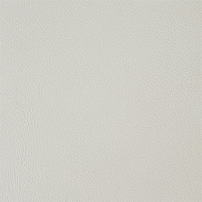 1-Shelly-WinterWhite_400px