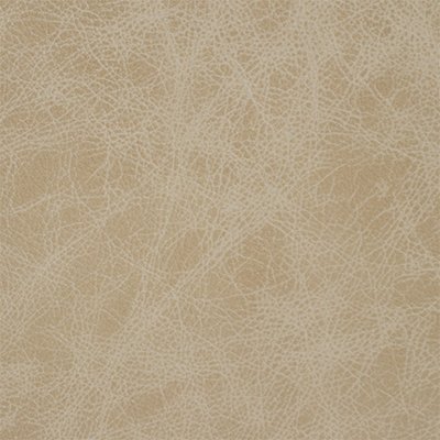 10-Saloon-Blush_400px