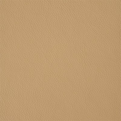 14-Shelly-Stone_400px