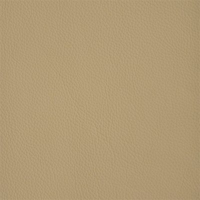 15-Shelly-Pebble_400px