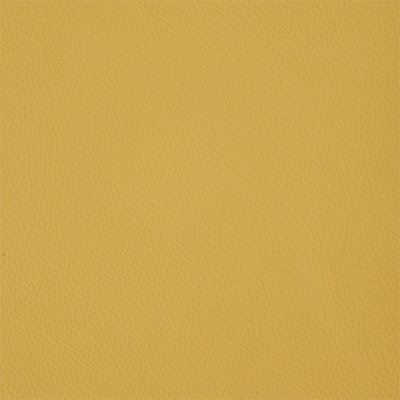 18-Shelly-Deluca_400px