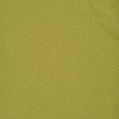 20-Shelly-FieldGreen_400px