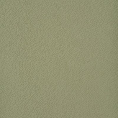 22-Shelly-ThymeGreen_400px