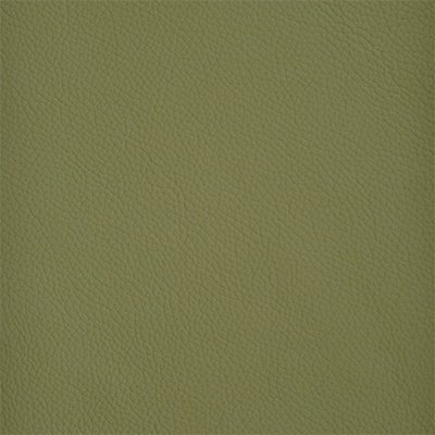 23-Shelly-MountainTree_400px