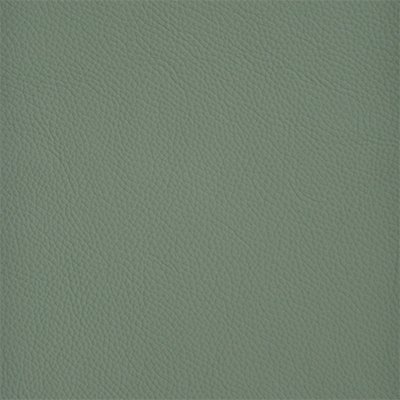 24-Shelly-Lichen_400px