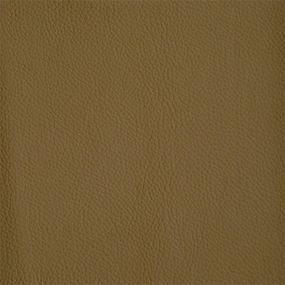 28-Shelly-Sage_400px