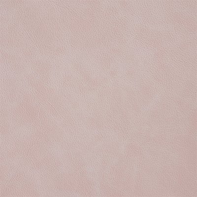 3-Stella-CandyFloss_400px