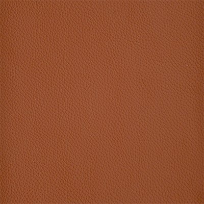 30-Shelly-Spice_400px