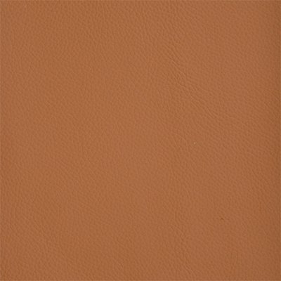 31-Shelly-Saddle_400px