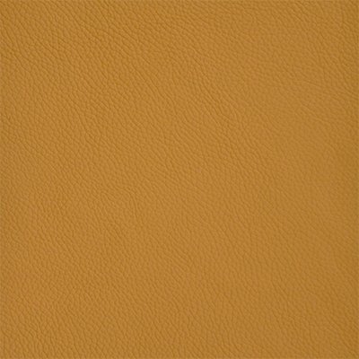 32-Shelly-Parchment_400px