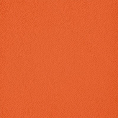 33-Shelly-Flamenco_400px