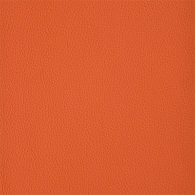 34-Shelly-Firestone_400px