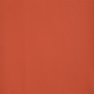 38-Shelly-Horizon_400px