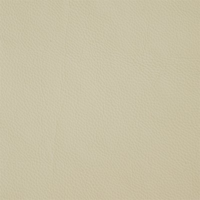 4-Shelly-Cottonseed_400px