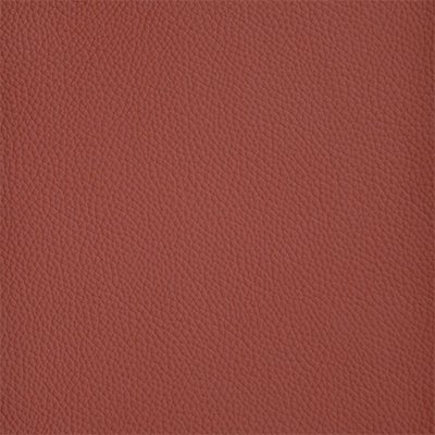 40-Shelly-West_400px