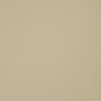 5-Shelly-RiceMilk_400px