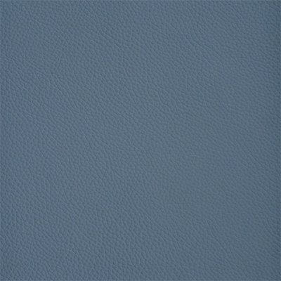 53-Shelly-Iceblast_400px