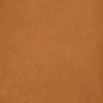 6-Austen-Ochre_400px