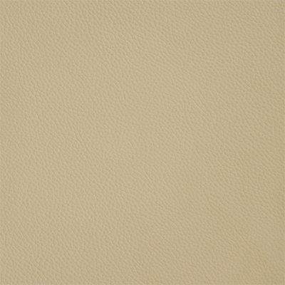 6-Shelly-Ivory_400px