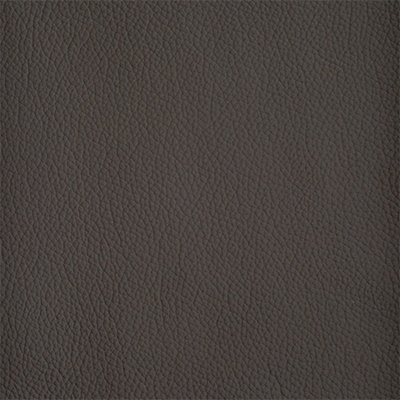 64-Shelly-Havannah_400px