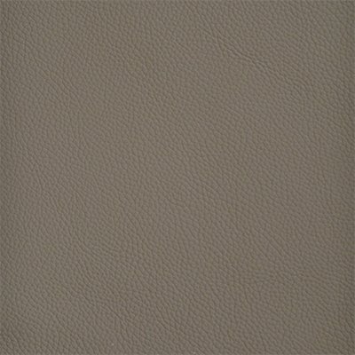 69-Shelly-SilverBirch_400px