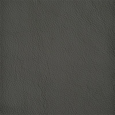 70-Shelly-Steel_400px