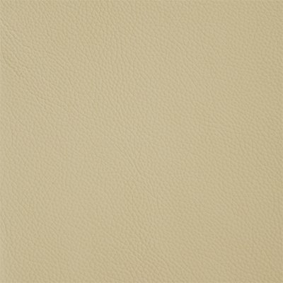 8-Shelly-Panna_400px