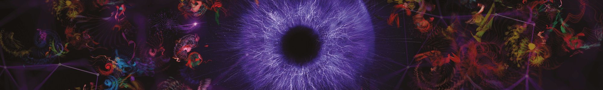 Hero-Banner-2000-x-300-LOOK