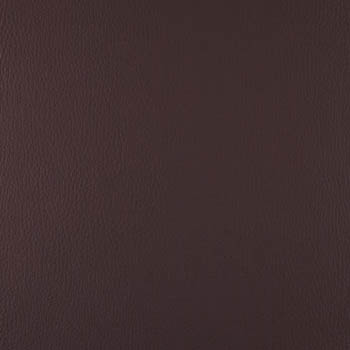 Lionella-Bark-350×435