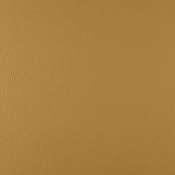 Lionella-Beaver-350×435