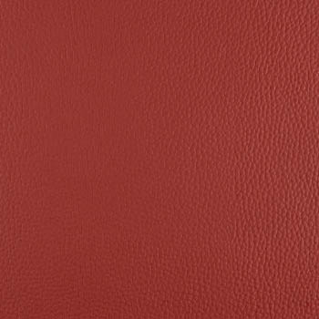 Lionella-Boysenberry-350×435