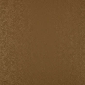 Lionella-Camel-350×435