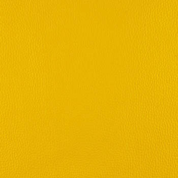 Lionella-ColonalMustard-350×435