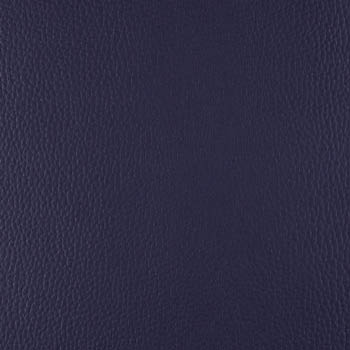 Lionella-DeepSea-350×435