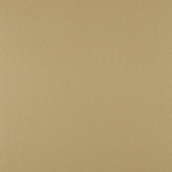 Lionella-Ecru-350×435