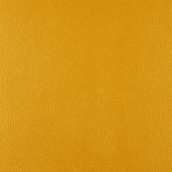 Lionella-GoldMedal-350×435