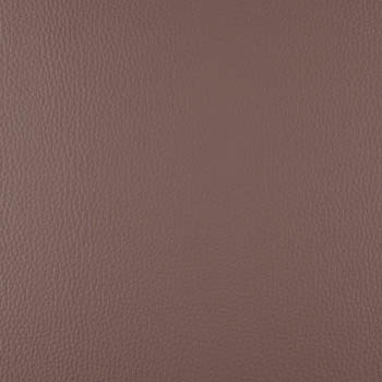 Lionella-Heather-350×435