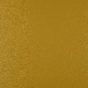 Lionella-OldGold-350×435