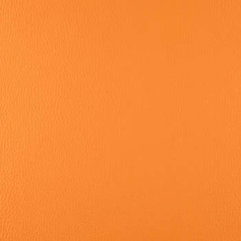 Lionella-Peachy-350×435