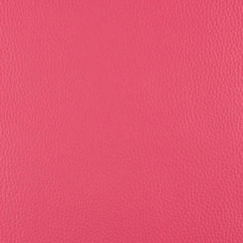 Lionella-PinkLady-350×435