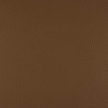 Lionella-Sable-350×435