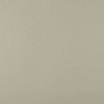 Lionella-Titanium-350×435