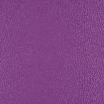 Lionella-Tulip-350×435