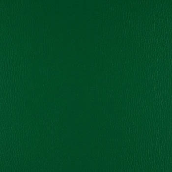 Lionella-WinterGreen-350×435